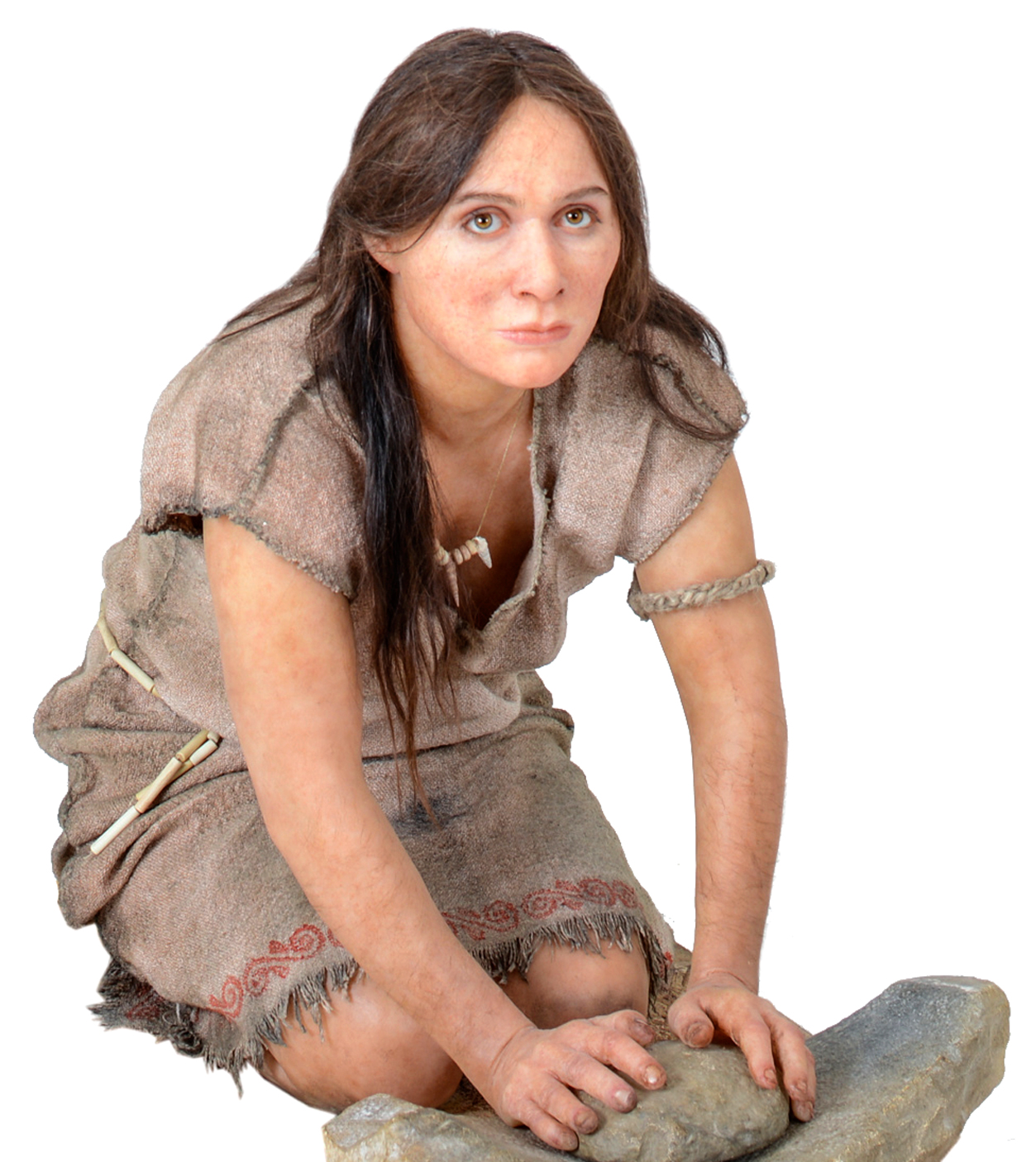 Neolithic Revolution