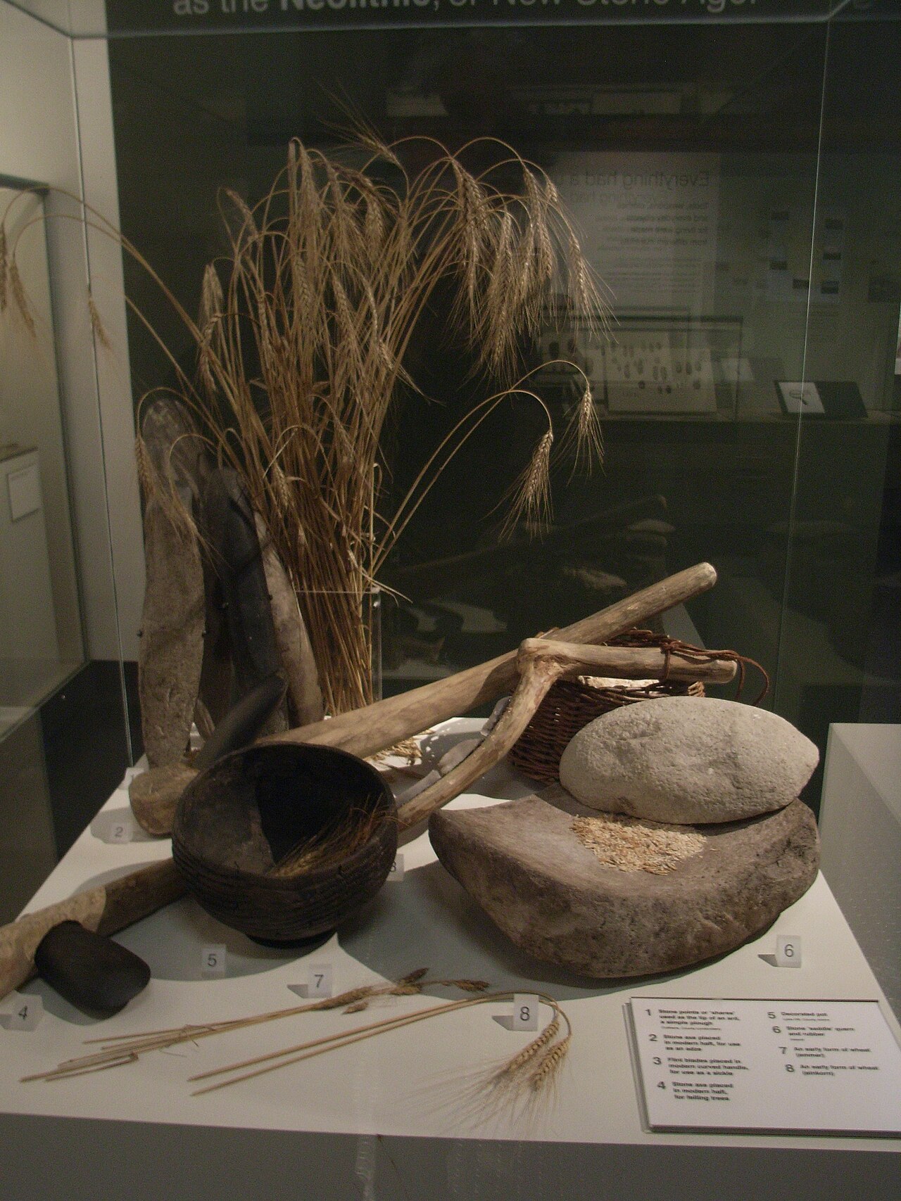 Neolithic Revolution