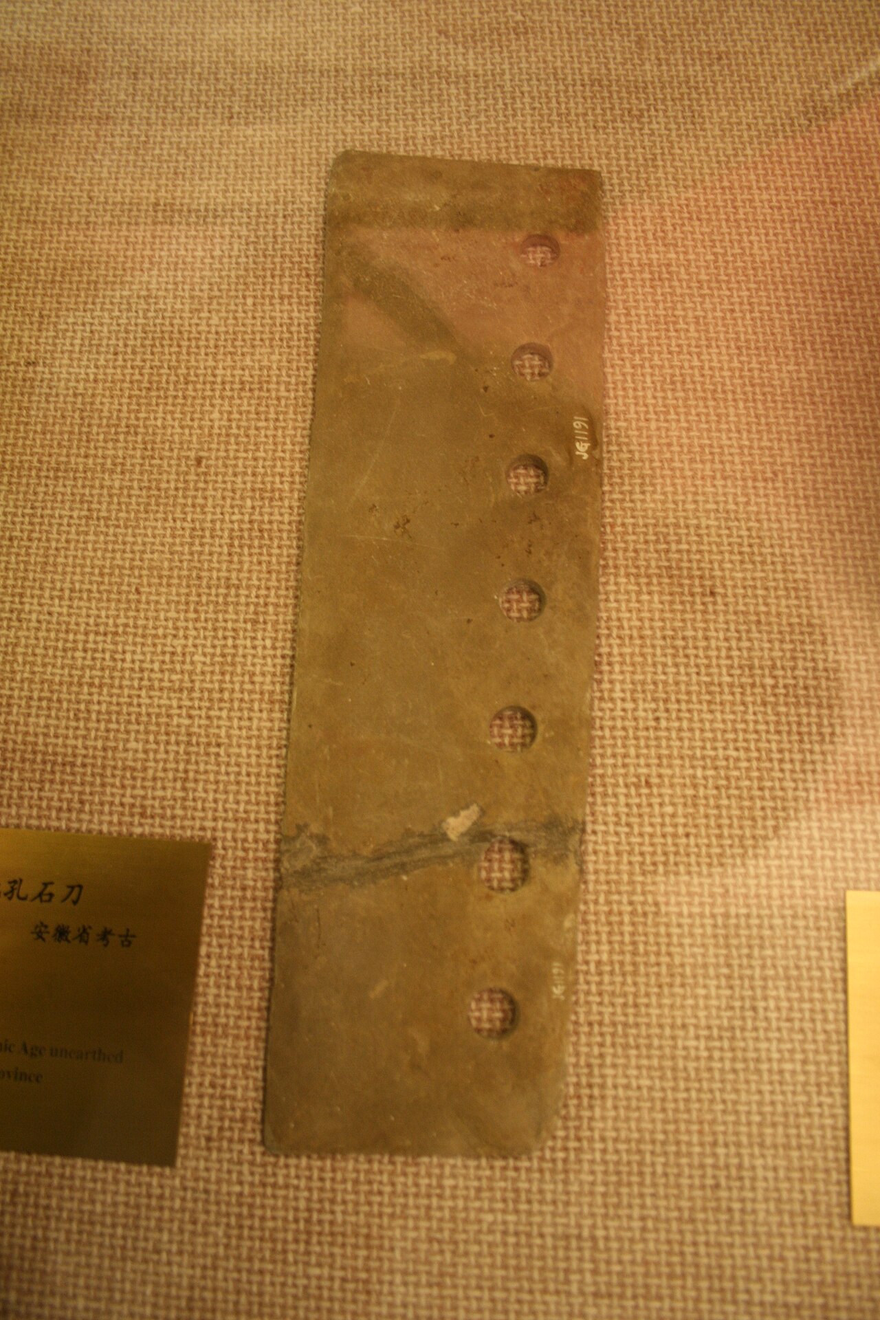 Neolithic Revolution