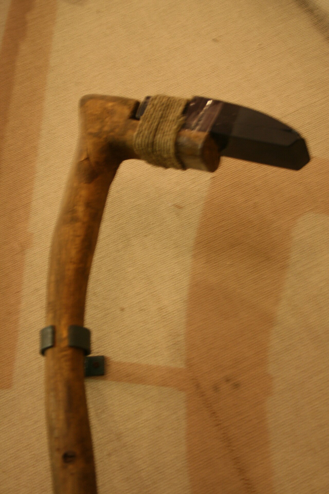 Neolithic Revolution