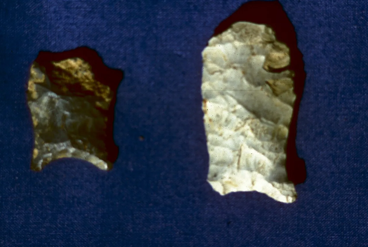 Paleo-Indians